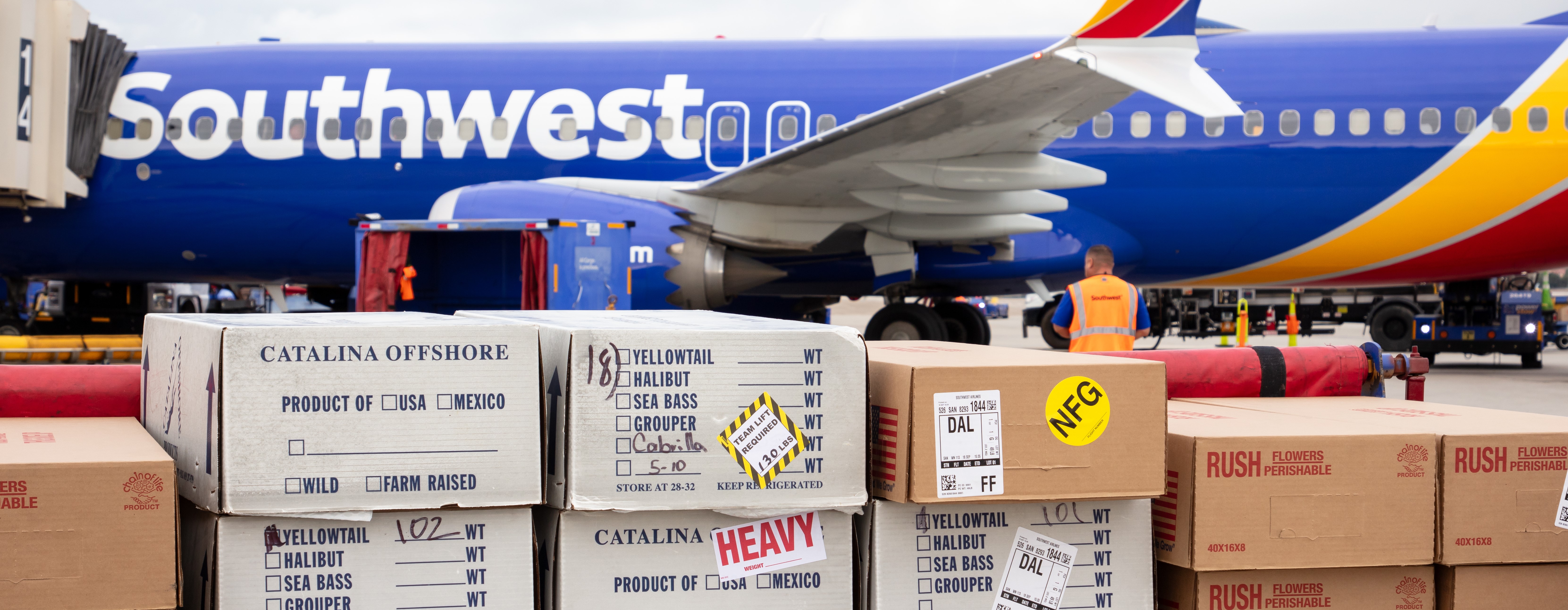 Cargo packages on the ramp.