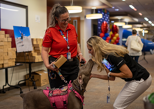 A woman leaning down to kiss a dog on their nose
