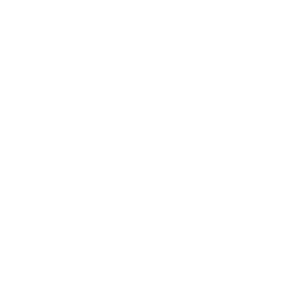 New Mexico