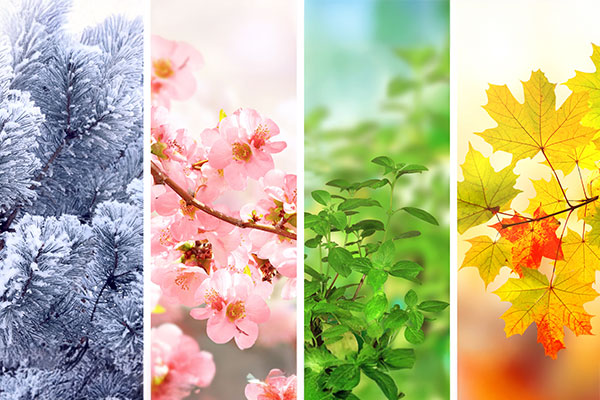 seasons