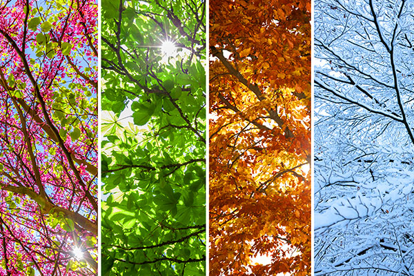 weather-wisconsin