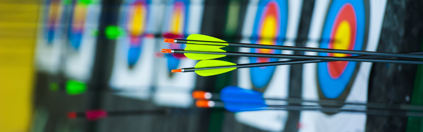 Archery arrows on a target