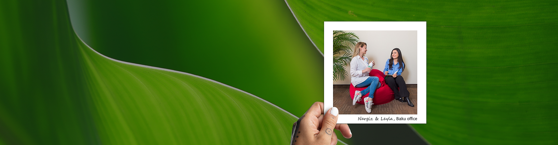 Q224SearchResultsBanner