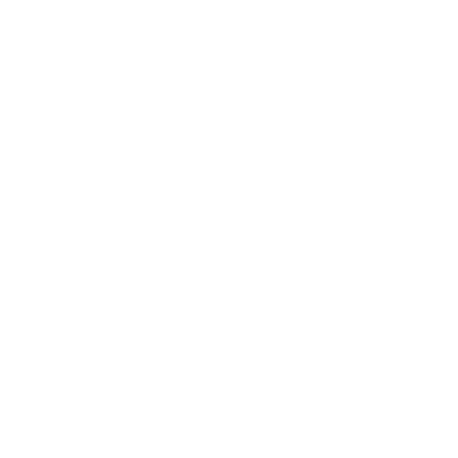 BRP-Digital_and_Campaign_Logo-W-RGB