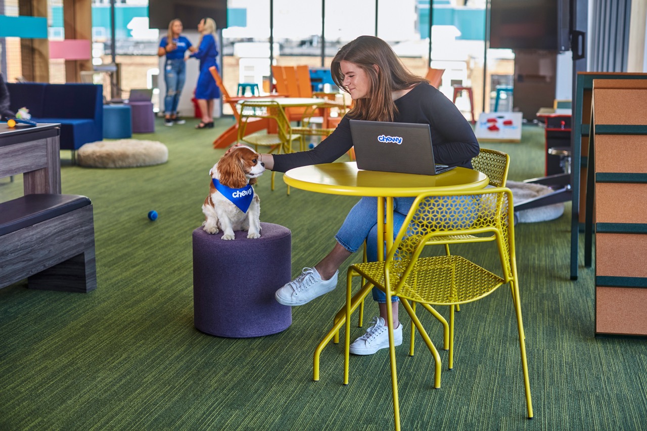 Two Chewy team members looking at a computer screen, one sitting in an office chair and one on a medicine ball