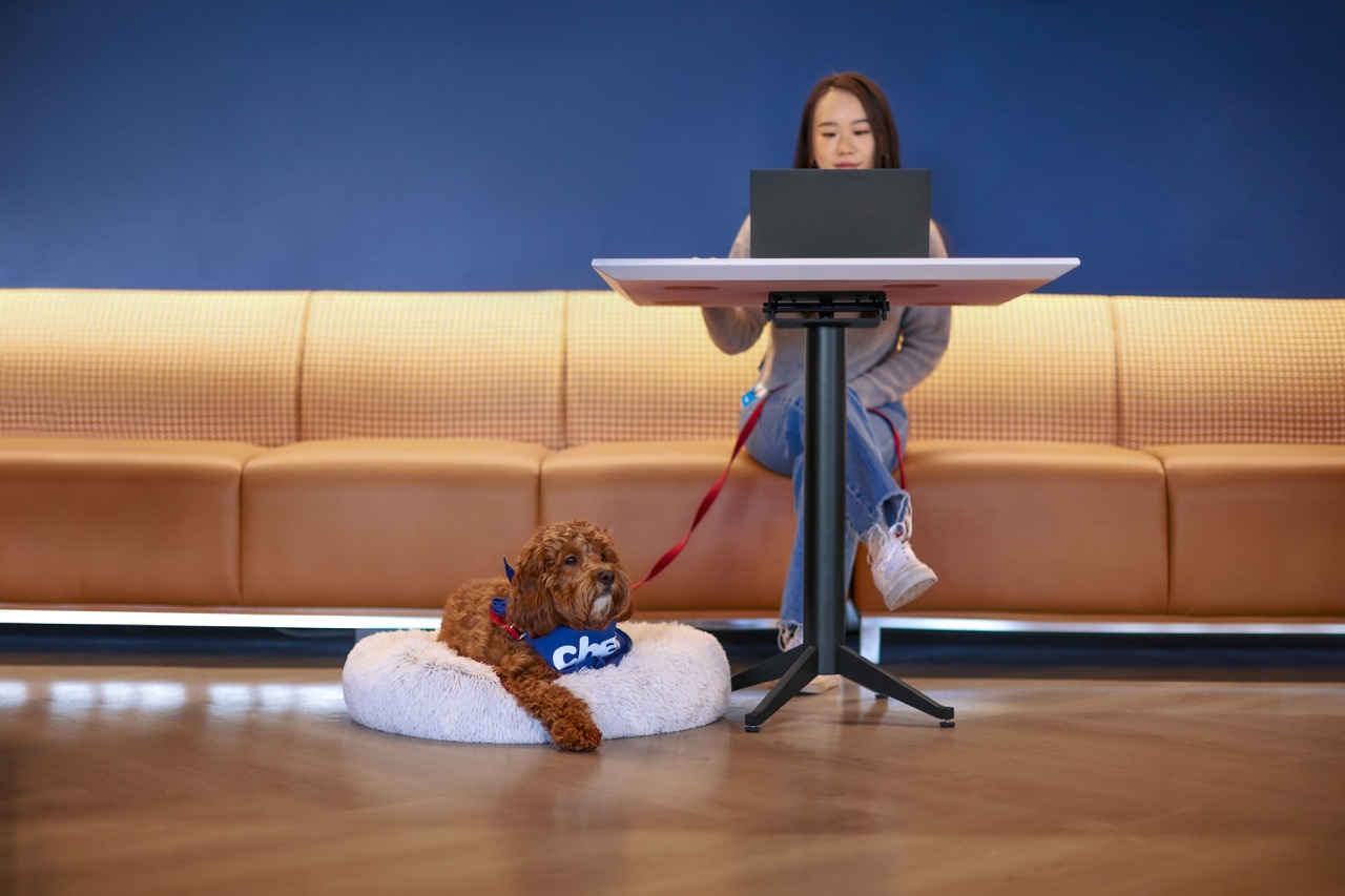 A Chewy team member sitting at a desk while flexing their muscles and holding a bag of dog food on their shoulder
