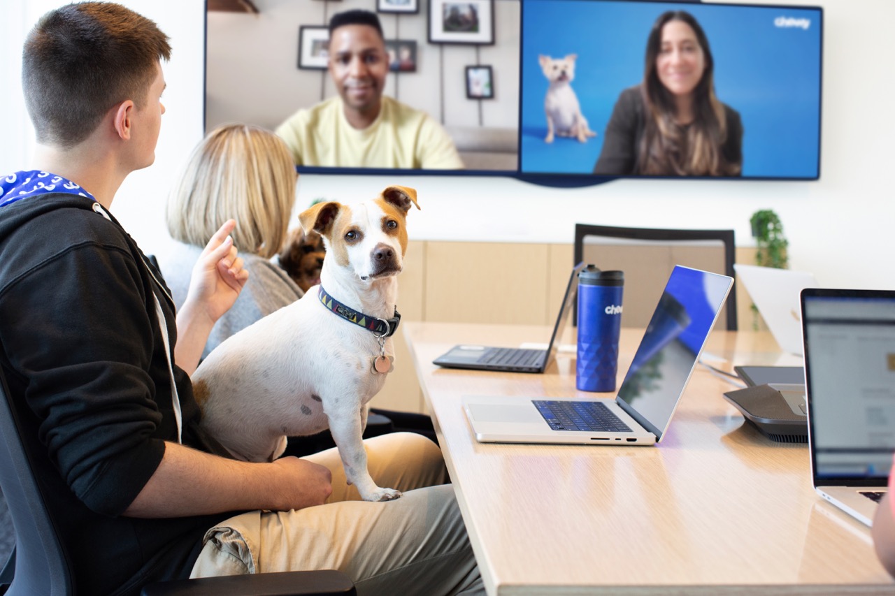 Three Chewy team members smiling at the camera while holding bags of pet food over their heads