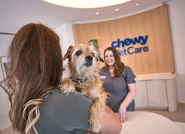 ColoradoSprings_Widget