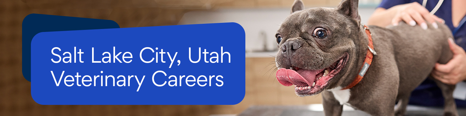SaltLakeCity_CareerSite