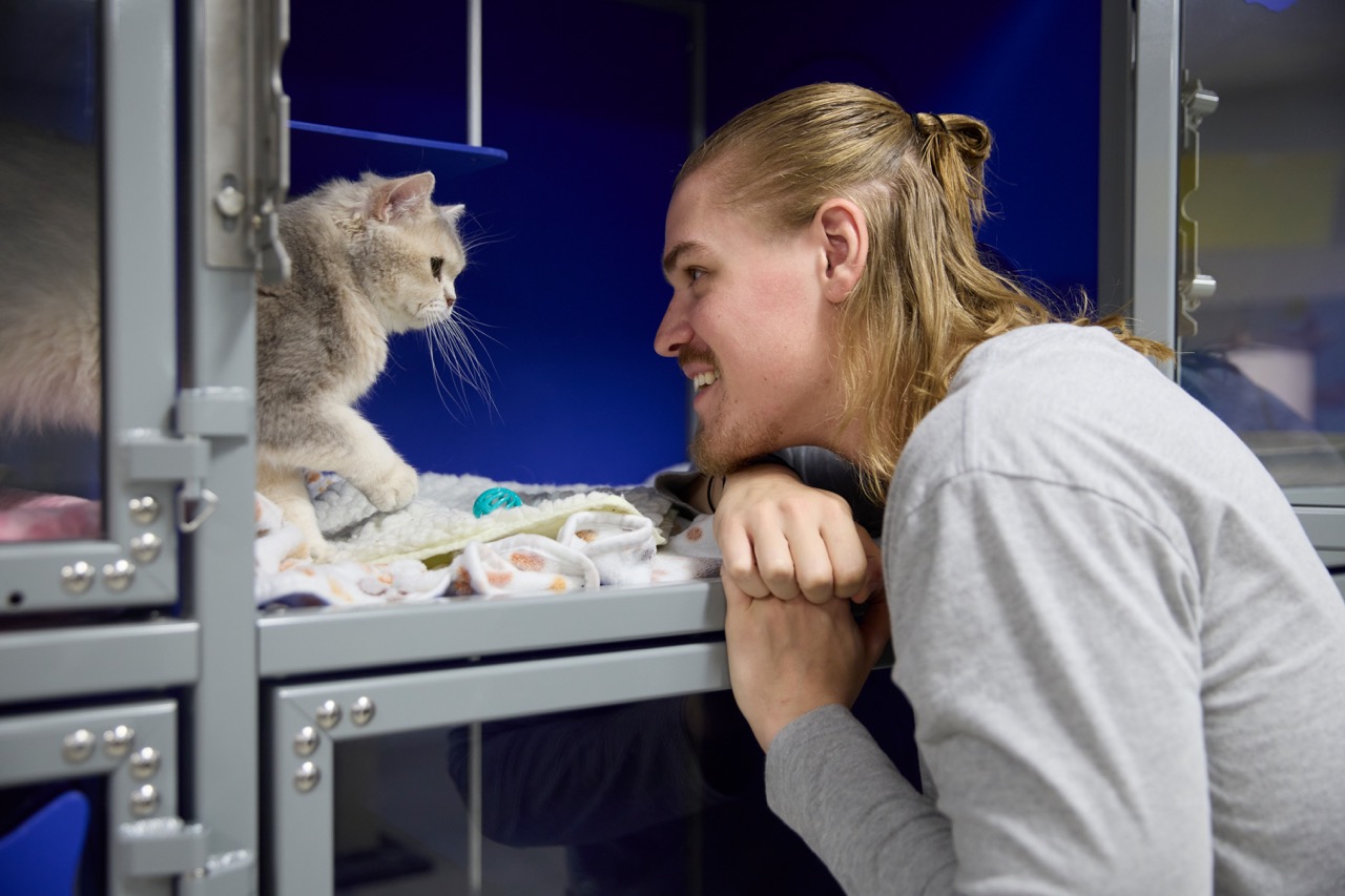 A Chewy team member with blue sunglasses at a volunteer event, surrounded by dogs and other people
