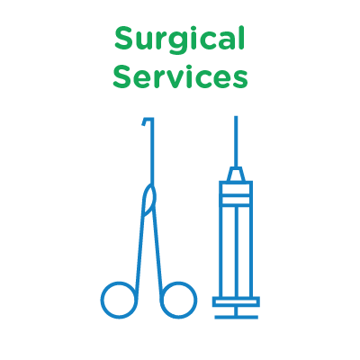 surgical services