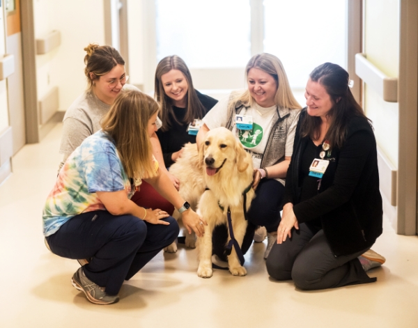 building a collaborative culture