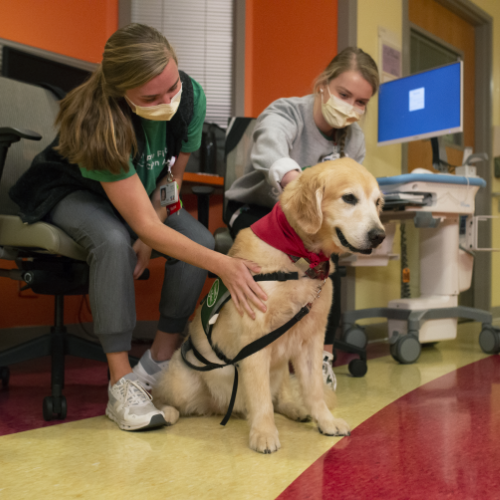 Two Children’s nurses petting facility dog in hospital hallway. 
