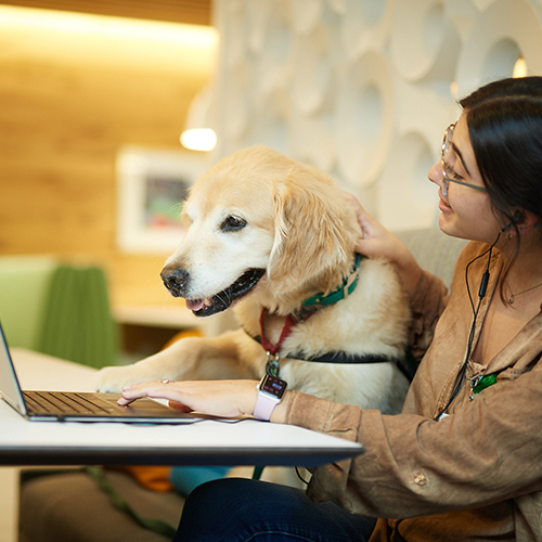 Children’s employee working on laptop in Support Center with facility dog. 
