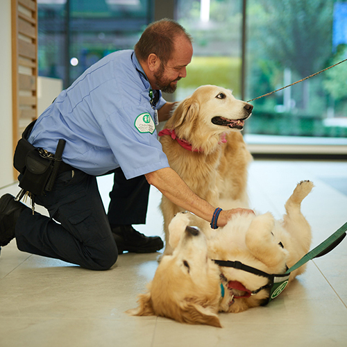 Children’s security guard playing with two Children’s facility dogs. 
