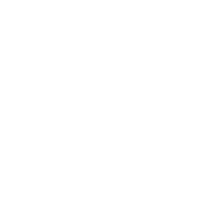 person on laptop icon