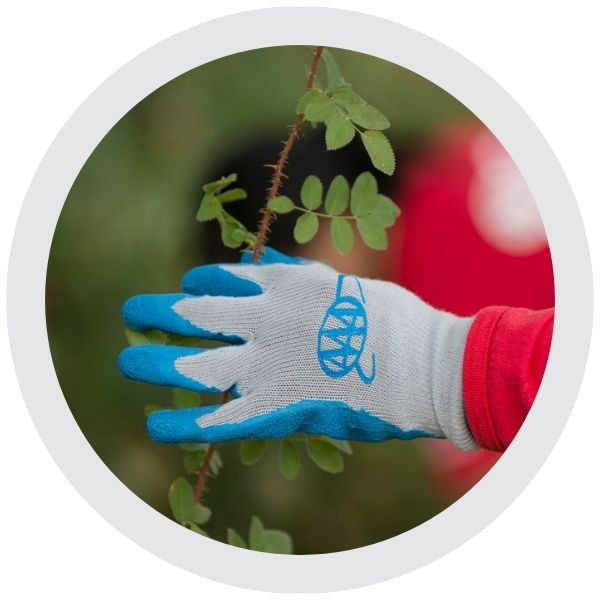 A gloved hand holding a small plant during an outdoor planting activity