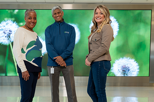 Three employees posing for a group photo