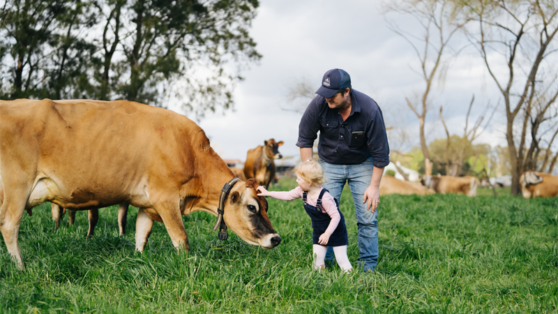 A farmer and a child with a Cow