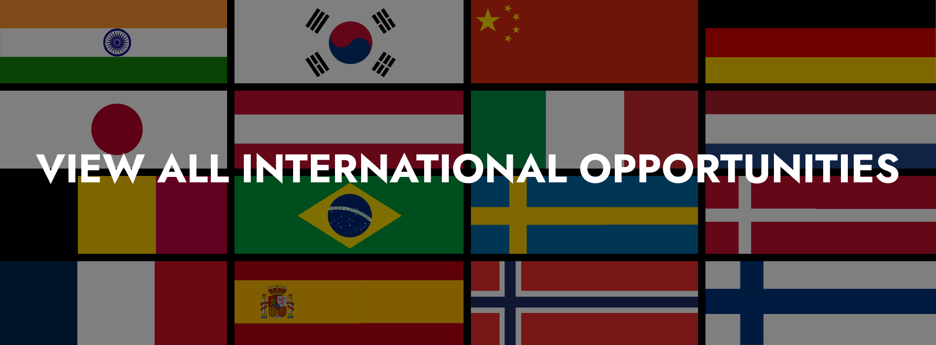 Multiple flags representing CONMED's opportunities across multiple countries and locations