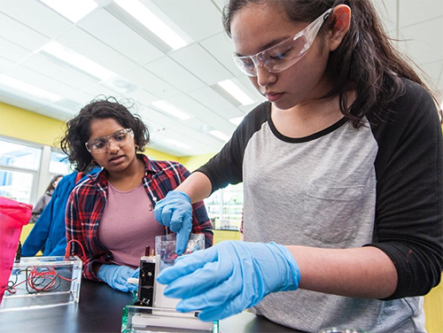 Interns_Experience4_500x376