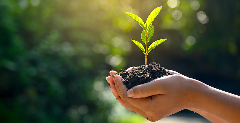 Sustainability 