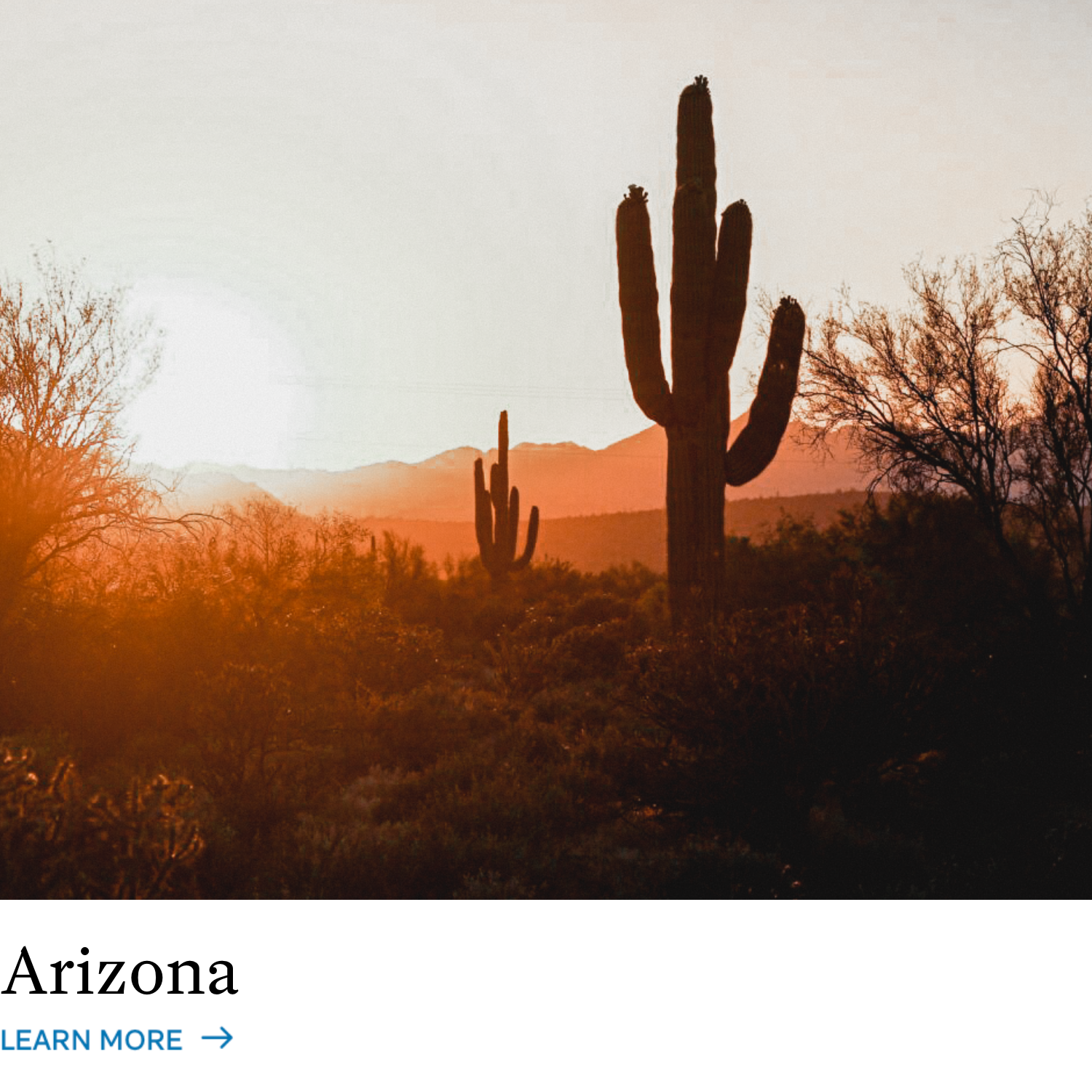 Arizona