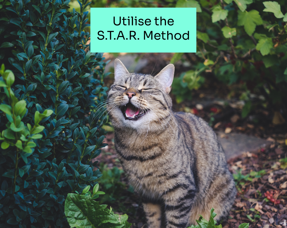 Utilise the S.T.A.R. Method