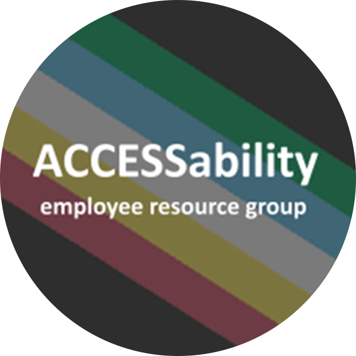 ACCESSability ERG