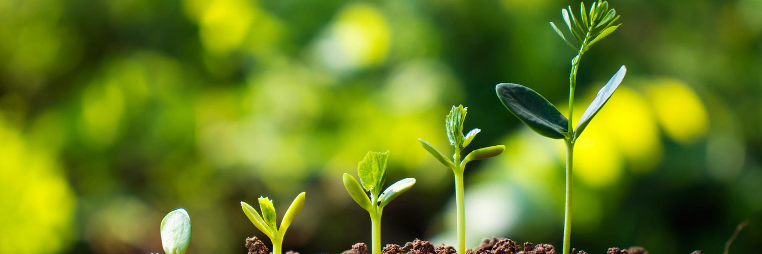 Continiousimprovement_