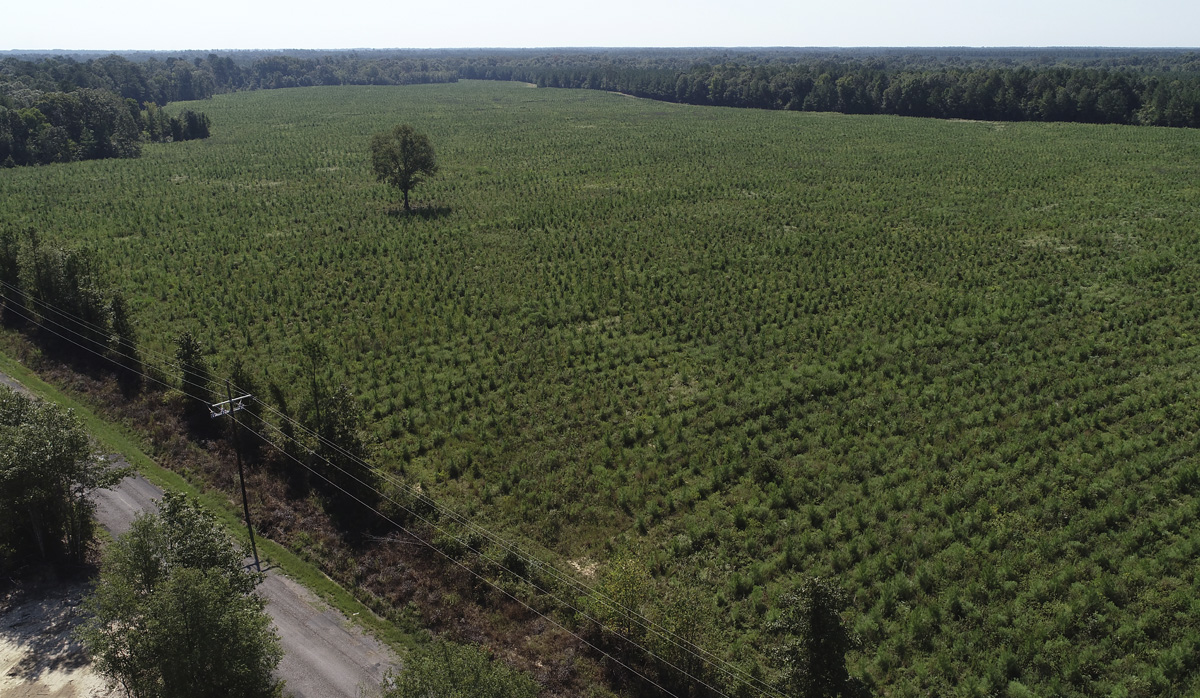 Field next to a road