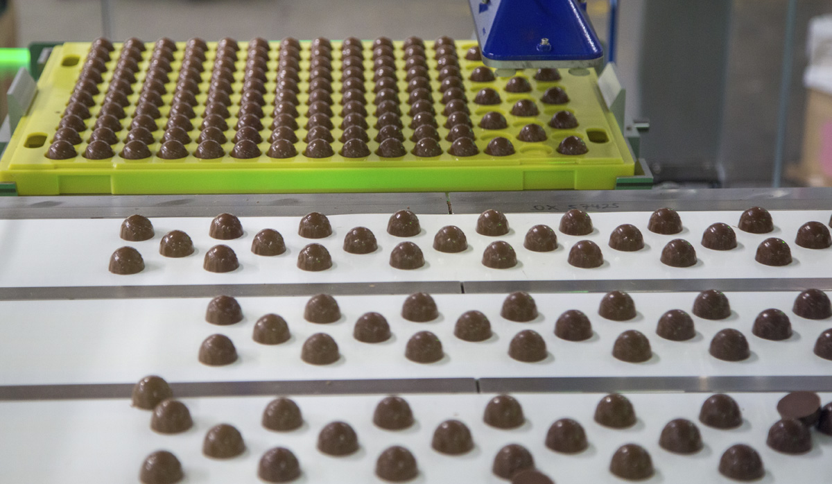 Chocolate Conveyor Belt Image