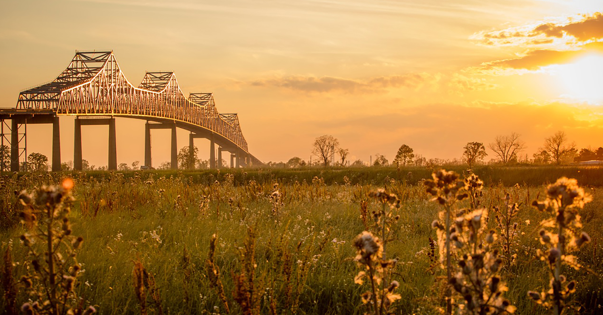 Sunlit Bridge and field 