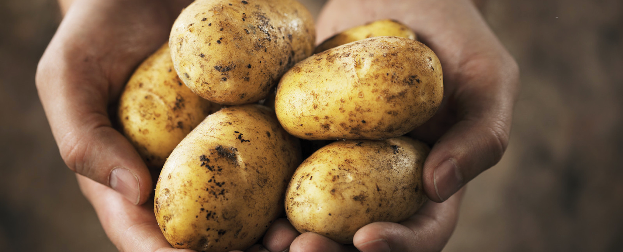 Skyfall_Potato