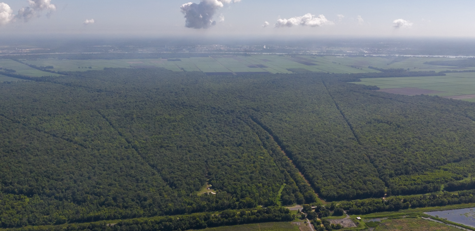 WGSDrone-wide-crop