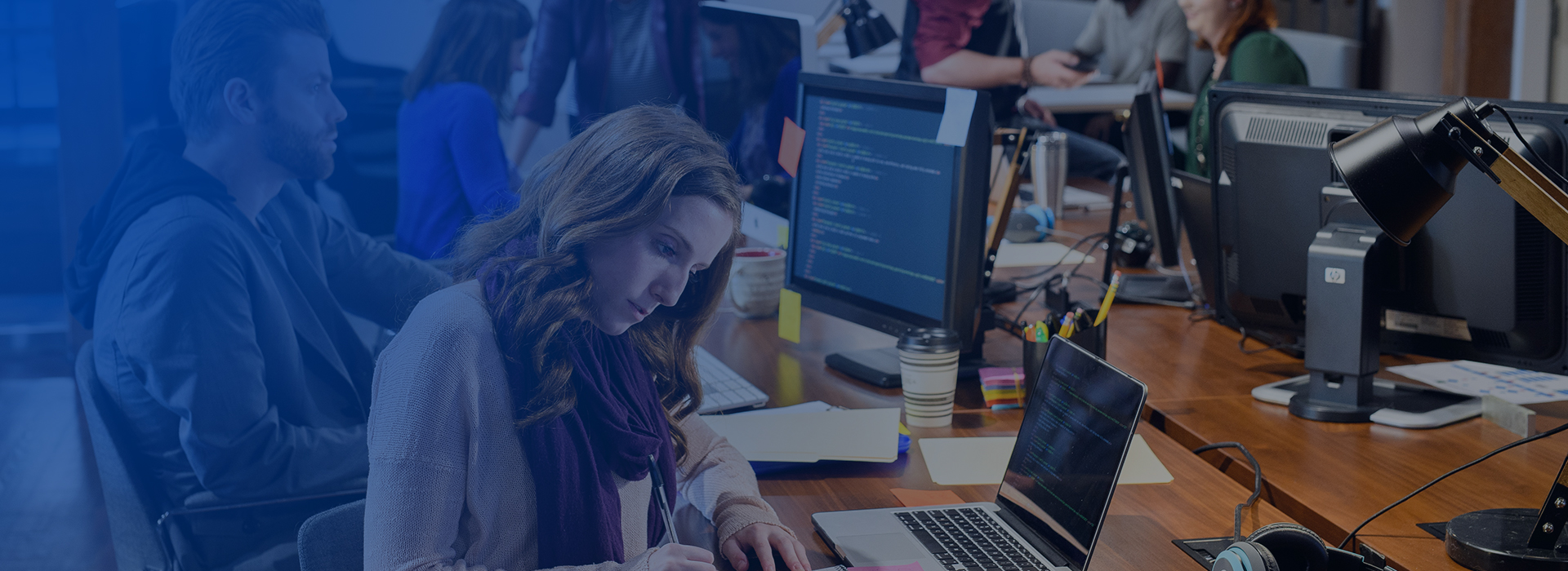 Software Development Jobs