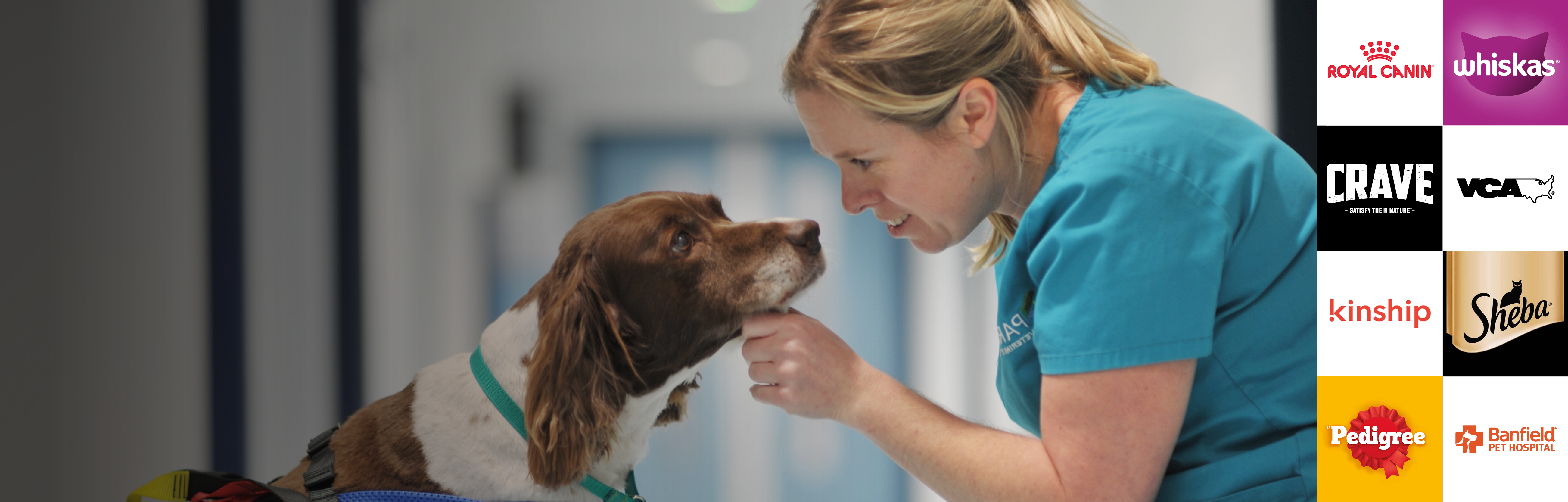 A image of a Mars Associate Vet petting a dog