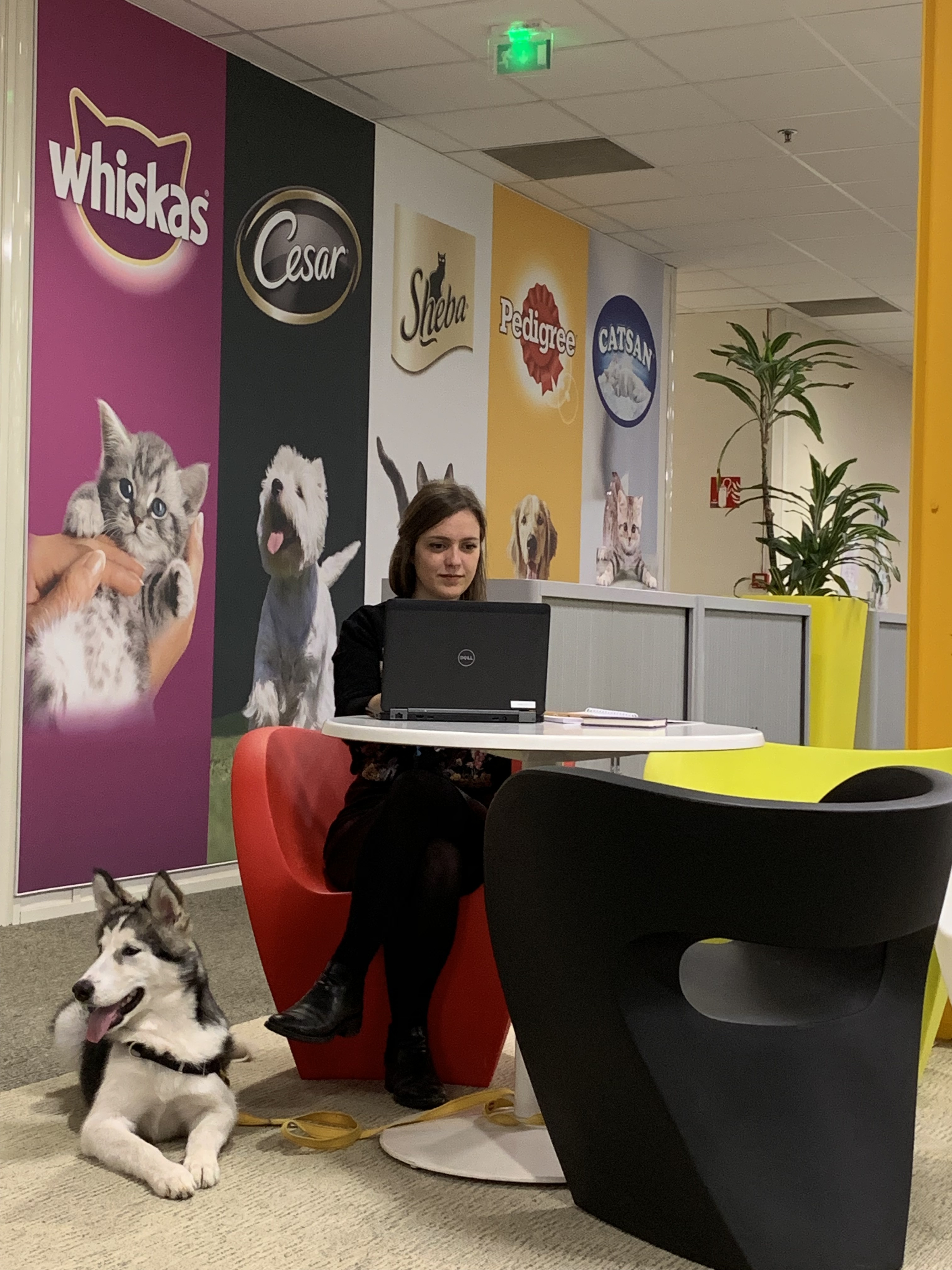 Corporate Careers static image