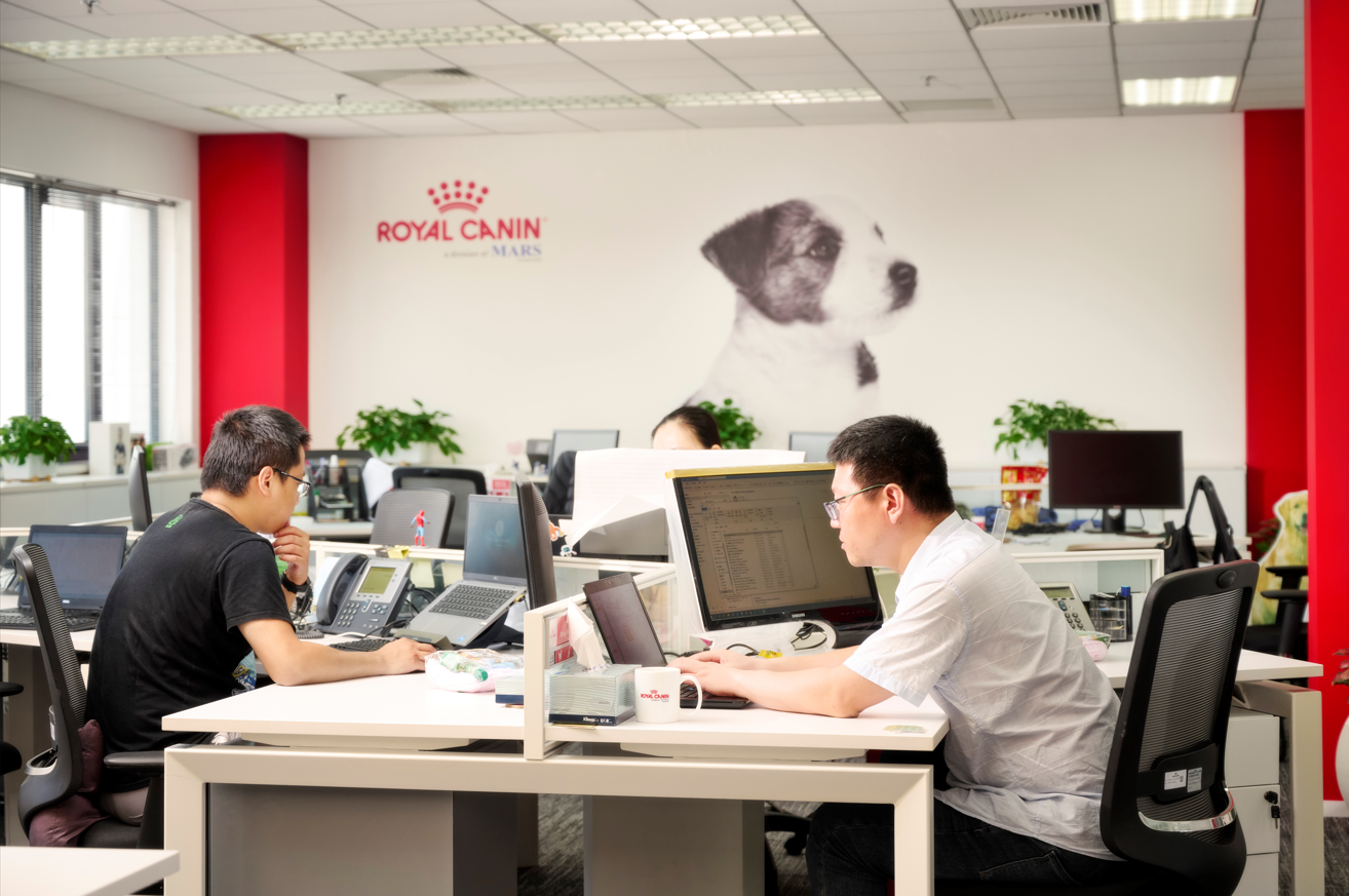 Our Core values Static Image