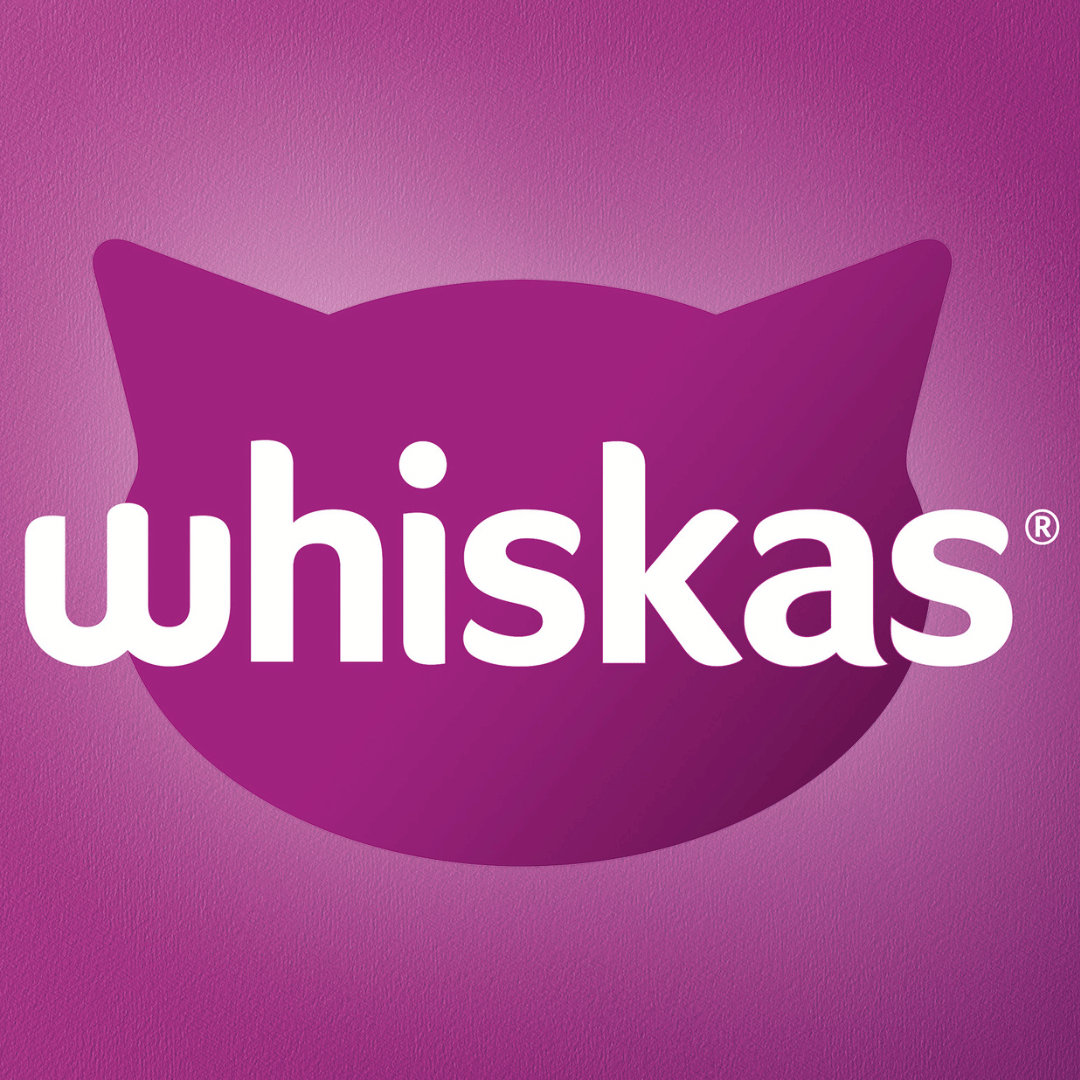 market society static image