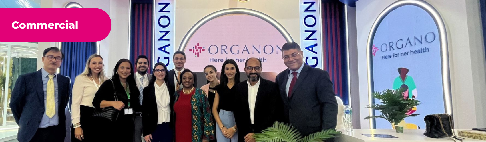 Business Technology Information Technology IT Women Computer | Organon Careers