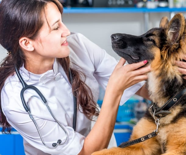 Work with us in Worthington, MN Merck Careers