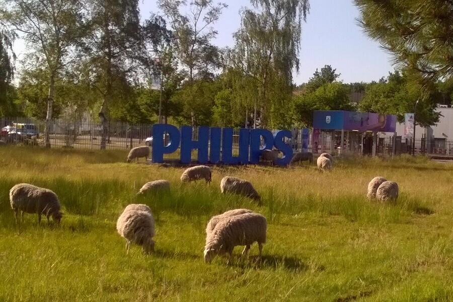 Philips Best campus
