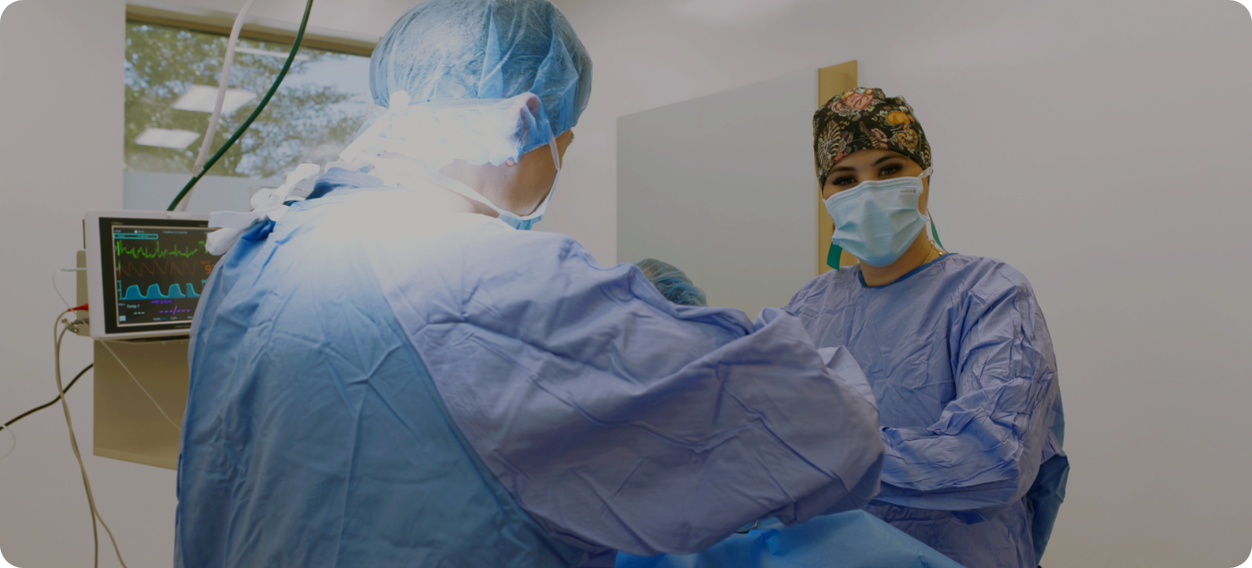 two veterinary professionals playing with dog