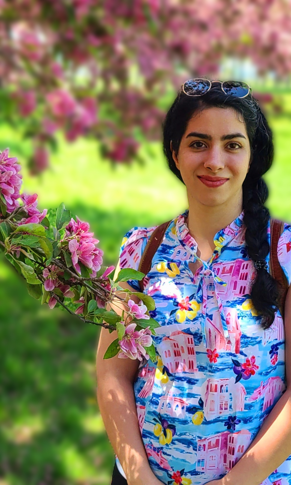 Elahe Rahimian Najafabadi, Let’s SOLVE it Mentor; Research Engineer, Borealis AI