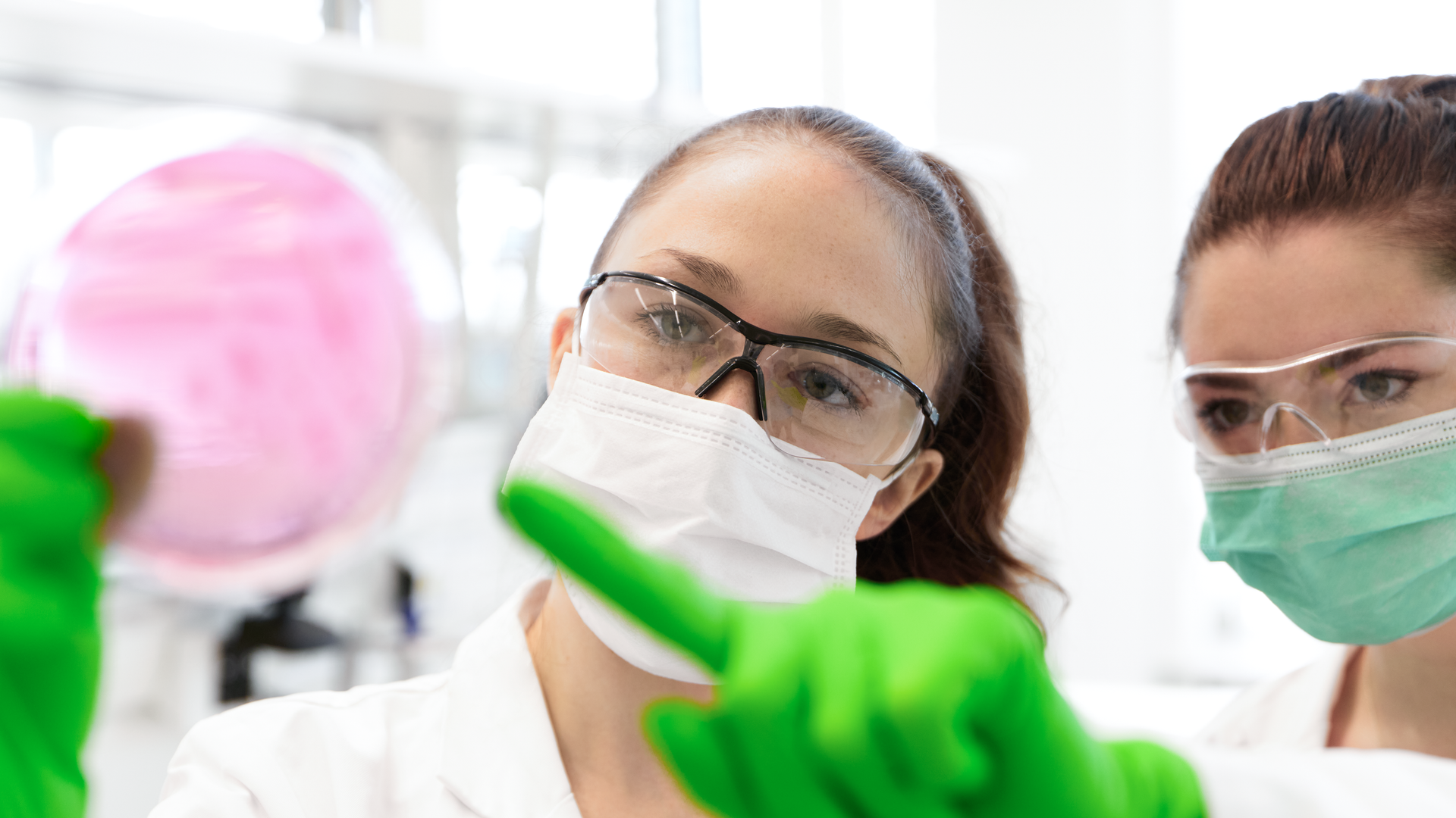 Research & Developement