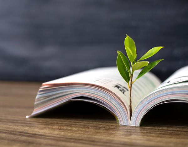 Learning and Development