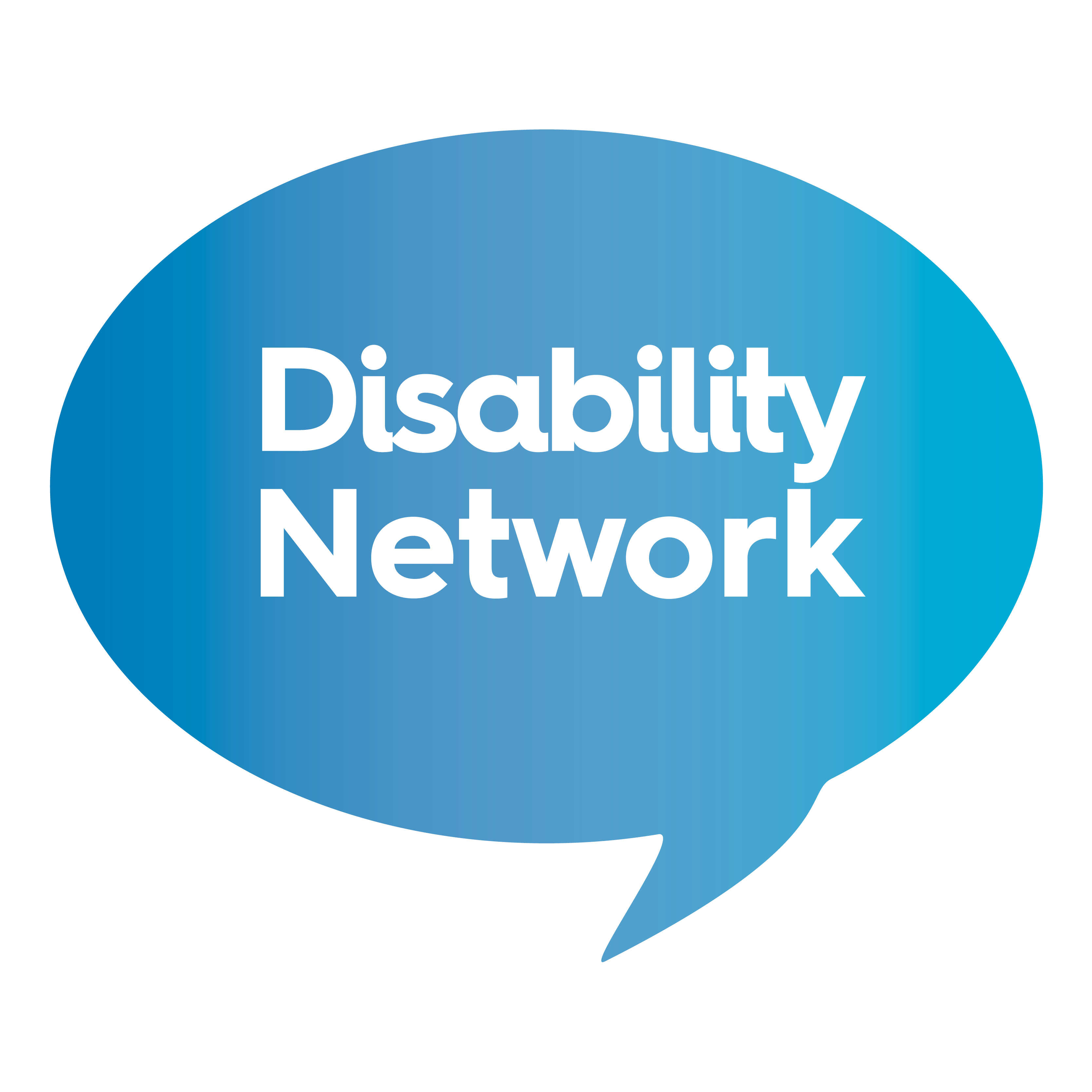 Disability Network logo