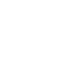 Organization Chart icon