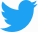 follow us on twitter